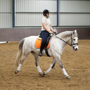 Private Indoor Arena Hire Per Hour Per Horse