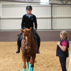 Horse Riding Lessons