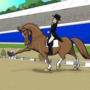 DRESSAGE TEST TRAINING DAY - Friday 7th June